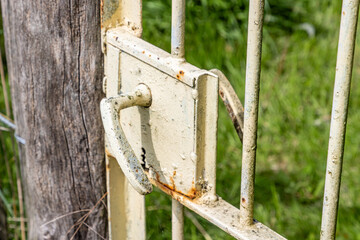 White wrought iron gate handle in foreground, gated entrance to farm yard, bars, rusty and dilapidated, green wild grass in blurred background, sunny day