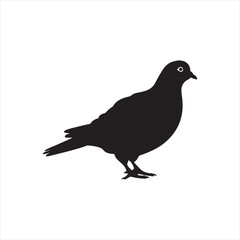 Obraz premium Minimalist Pigeon Silhouette in Black