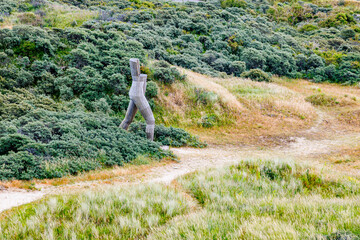 Aerial view of Bray dune plain with trails, bushes, green vegetation, yellowish wild grass and male...