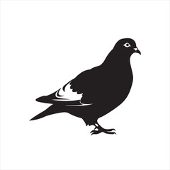 Fototapeta premium Minimalist Pigeon Silhouette in Black
