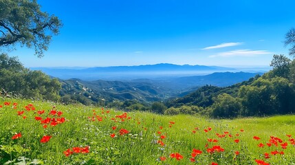 A wildflower-covered hillside with a view of distant mountains and a clear blue sky