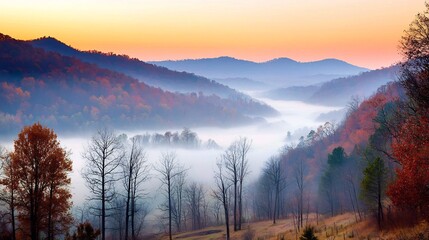 Fototapeta premium A serene misty valley landscape with colorful autumn foliage during sunset