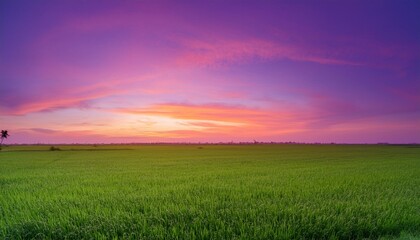 보랏빛 저녁 하늘과 초록 들판