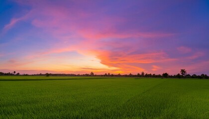 보랏빛 저녁 하늘과 초록 들판