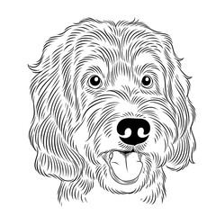 illustration of a dog