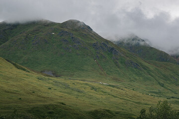 Alaska countryside with mountains and wildlife