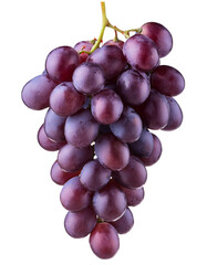 Fototapeta premium Image of a bunch of fresh purple grapes, isolated on a transparent background.