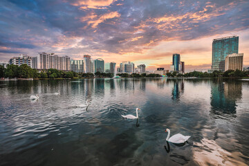 Downtown Orlando, Florida showcase a vibrant and dynamic cityscape. The view highlights modern...