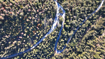 Fototapety na wymiar - Fototapeta24.pl