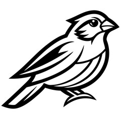 Birds Vector Illustrations with White Background - Cartoons, Clipart, Line Art Designs