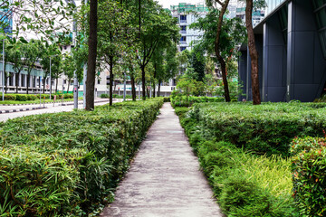 A narrow concrete pathway surrounded by lush green plants and trees in an urban environment. Modern cityscape with greenery and sustainable design.