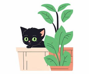 cat in a box 