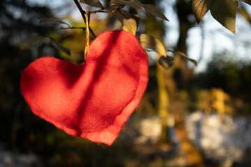 Red heart hanging on the tree branch.Sun shine trough the leaves.Blur background.Valentine 's Day 