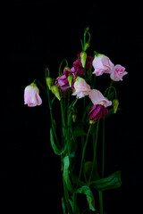 a bouquet of eustoma flowers has wilted over time