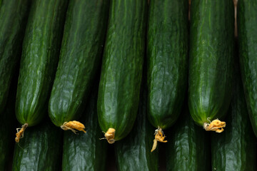 Background of fresh green cucumbers.