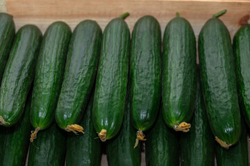 Cucumber in a box in a store or market.