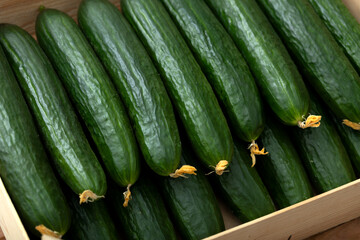 Cucumber in a box in a store or market.