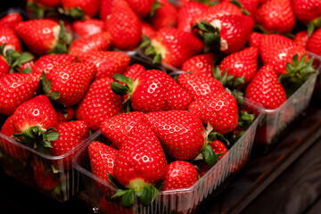 Fresh strawberries in trays on the counter of a store or market.