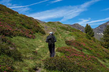 Fototapeta premium Mountain landscape in the Pyrenees, France, in spring, with an hiker 