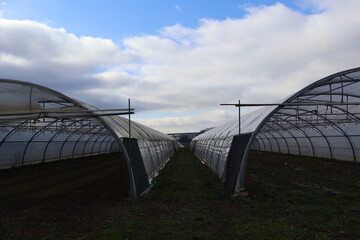 SERRE AGRICOLE