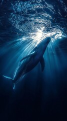 Fototapeta premium HD Phone Wallpaper Majestic Humpback Whale Underwater Ocean Wildlife Sunbeams Deep Blue Sea