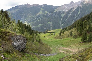 Scenic Alpine Valley with Lush Green Meadows and Wooden Huts in Zillertal, Tirol, Austria