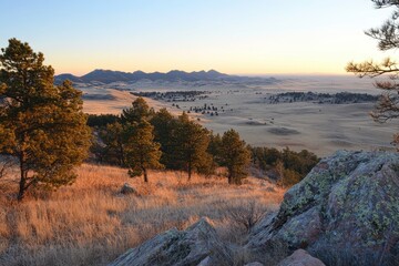 sight of mountains flatlands pine forests at dawn