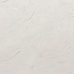 Obraz premium natural rustic White texture