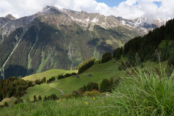 Sunlit Alpine Pastures with Traditional Wooden Huts in Zillertal, Tirol, Austria