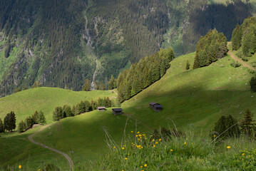 Sunlit Alpine Pastures with Traditional Wooden Huts in Zillertal, Tirol, Austria