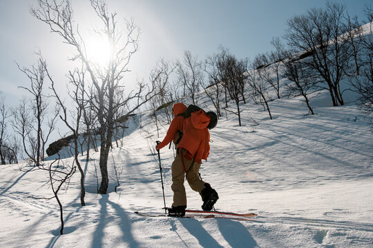 Skier in an orange jacket skis across a snowy meadow, on which trees grow here and there