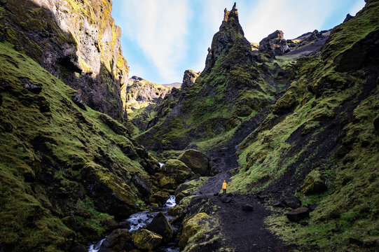 A woman in yellow jacket exploring and hiking a scenic mountain canyon with green vegetation near Thakgil (Pakgil) campsite in Iceland