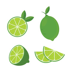 Green Lime Icon Set Vector Design.