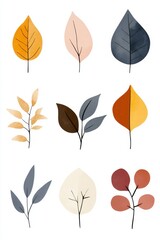 Minimalistic illustration of various tree leaves and nature motives for education or decoration