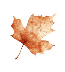 Watercolor Autumn Leaf Illustration for Fall and Nature Themes