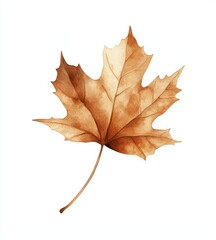 Watercolor Autumn Leaf Illustration, ideal for fall-themed designs, autumn decorations, and nature-inspired projects