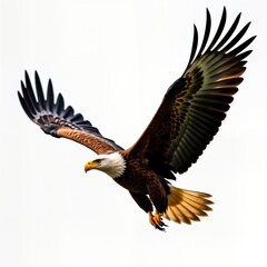 Obraz premium Majestic eagle soars freely against clear sky. Powerful bird of prey displays strong wings, sharp beak. Wildlife photography freedom, nature beauty. Symbol of strength, power. Wildlife photo captures