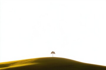 Solitary tree stands on a gently sloping hill against a bright white sky.