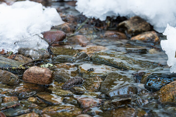 Close-up of a stream flowing through a coniferous forestin winter
