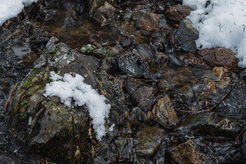 Close-up of a stream flowing through a coniferous forestin winter