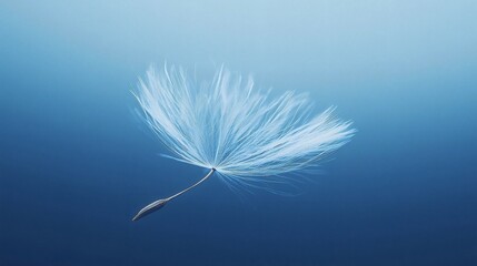 Ethereal Dandelion Seed Head in a Blue Abyss
