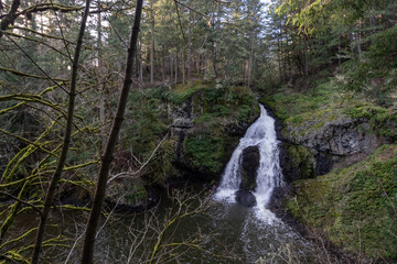 Obraz premium Waterfall in the forest