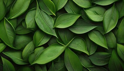 AIGenerated Realistic Illustration of Pile of Verdant Leaves with Detailed Veins and Crumpled Surface Autumns Textured Majesty in Close Up