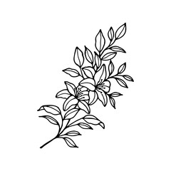 Flowering branch. Vector stock illustration eps10. Outline, hand drawn.  Adobe Illustrator Artwork