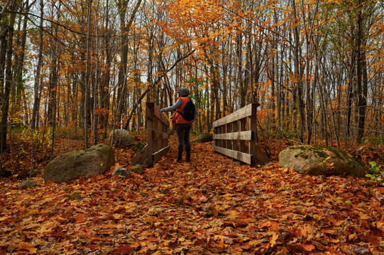 A person with a backpack walks along a wooden bridge in the autumn forest.