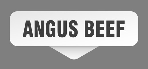 angus beef sticker. angus beef sign isolated on gray background