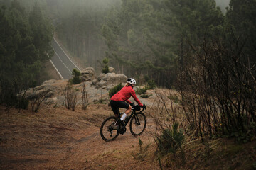A female cyclist enjoys a scenic ride through a misty forest.  The gravel path winds through pine trees towards a distant road, creating a sense of adventure and tranquility.