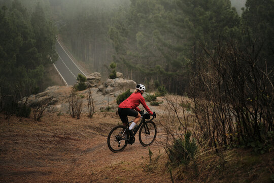 A female cyclist enjoys a scenic ride through a misty forest.  The gravel path winds through pine trees towards a distant road, creating a sense of adventure and tranquility. - Powered by Adobe