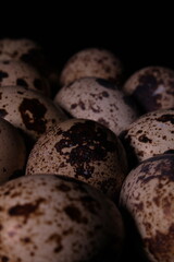 Obraz premium close up of chocolate chip