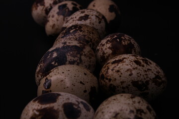 Obraz premium quail eggs